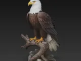 Eagle-0
