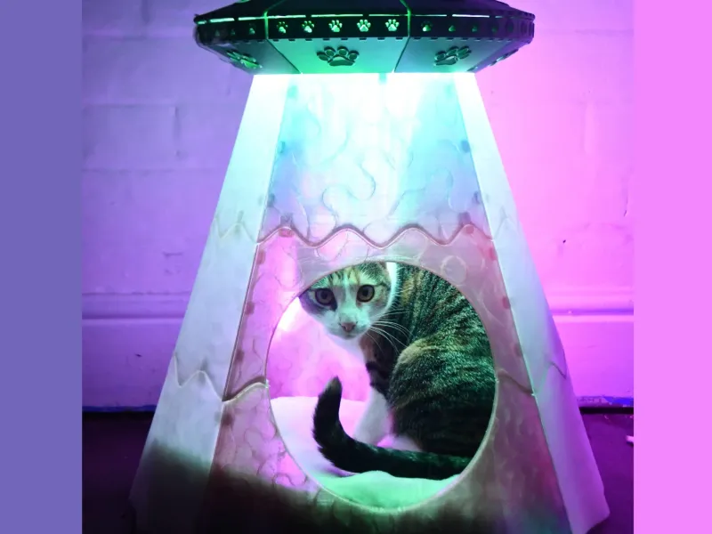 Cama LED para Mascotas de Abducción Alienígena