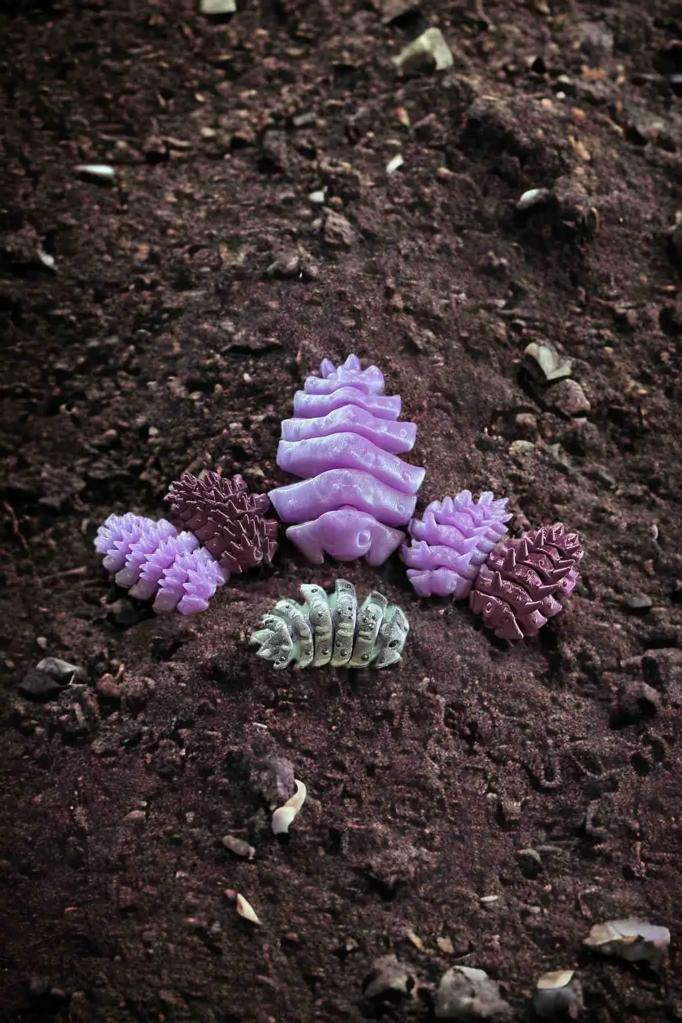 Rolly Polly Isopods