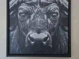 Frame for 150x150-1