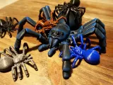 Articulated Tarantula-5