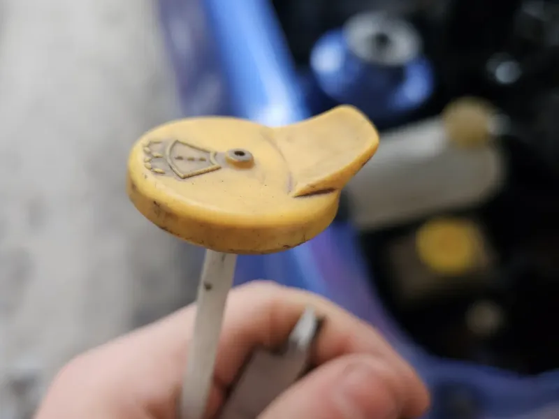 ford water cap 