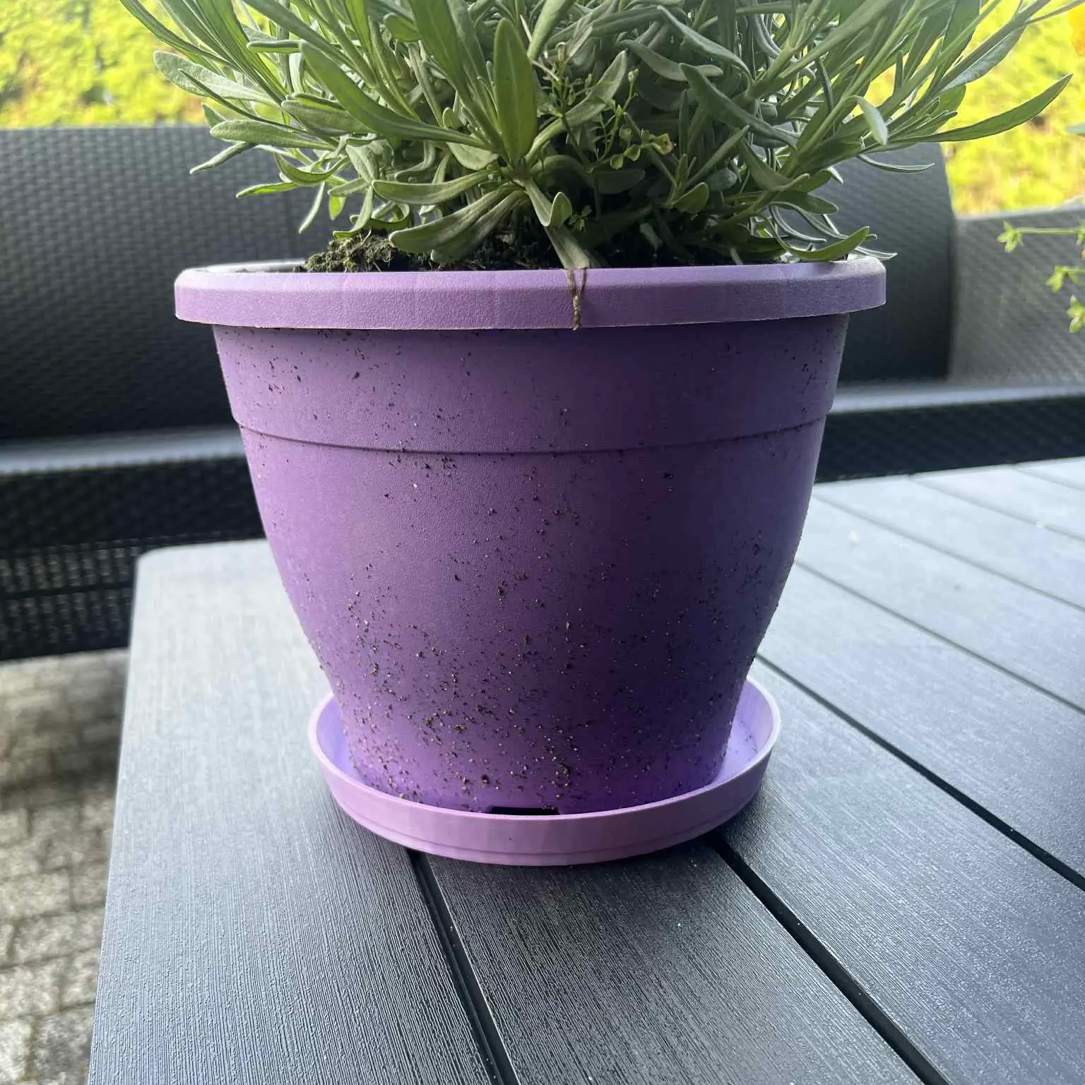 flowerpot holder / podstawka pod doniczkę