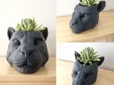 PUMA POT-4