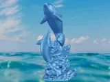 Dolphin coral-2