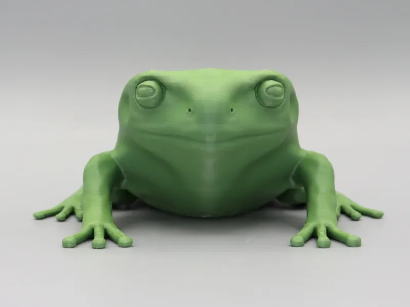 Green tree frog HD