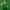 Cannabis Lego Figure