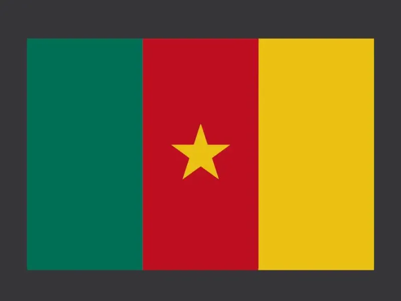 CM - Cameroon decoration Flag