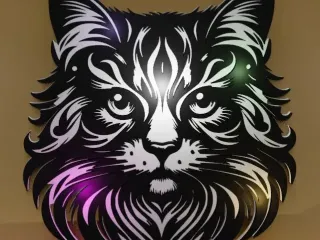 tough cat