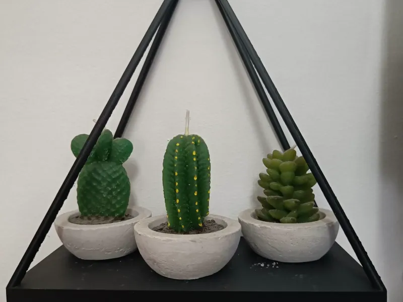 Decorative Wall Shelf