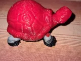 Große Schildkröte-6