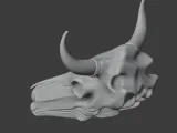 Bull Skull-2