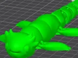 Axolotl Flexi-0