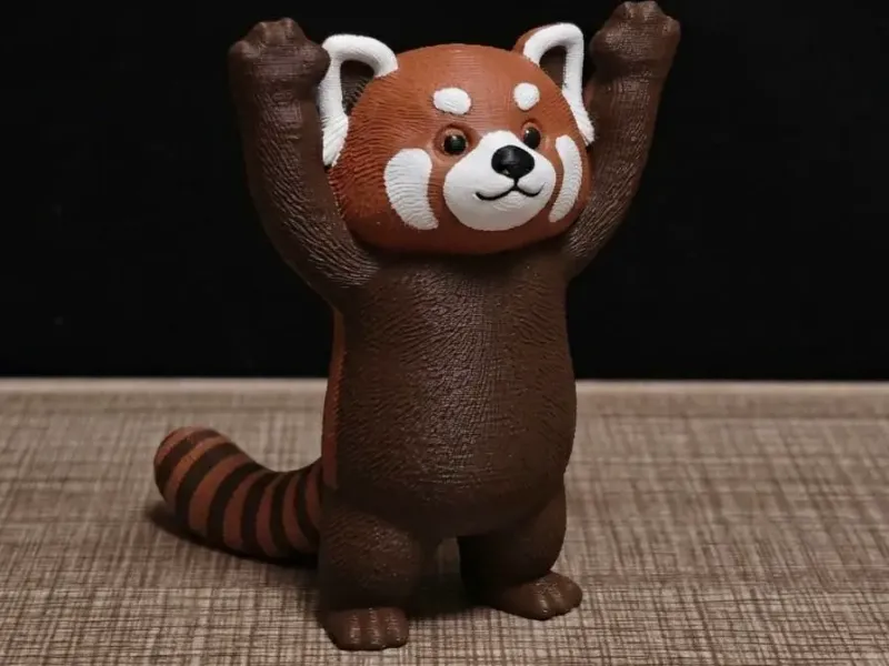 举手投降的小熊猫（raise hand surrender red panda）