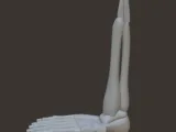 skeleton foot-1