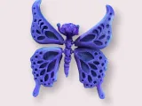 Flutterfly The Butterfly-2