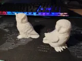 Owl and eagle owl-0
