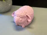 Cute Sheep-8