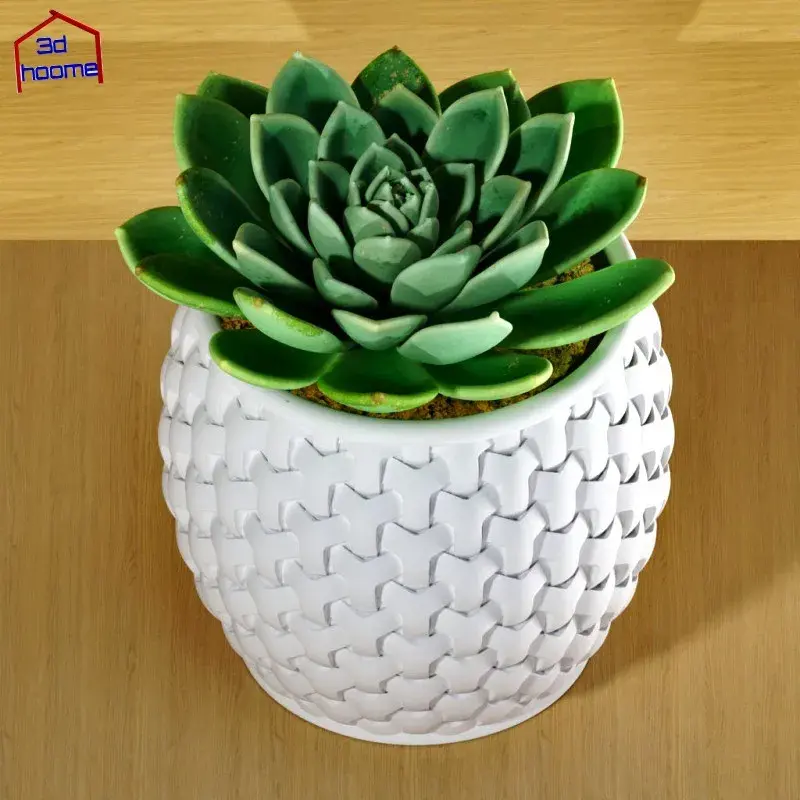 Basket Weave Patterned Succulent Planter