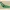 Micro Flying Wing- can be used with V911 F949 receiver