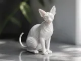Gatto Sfinge-3