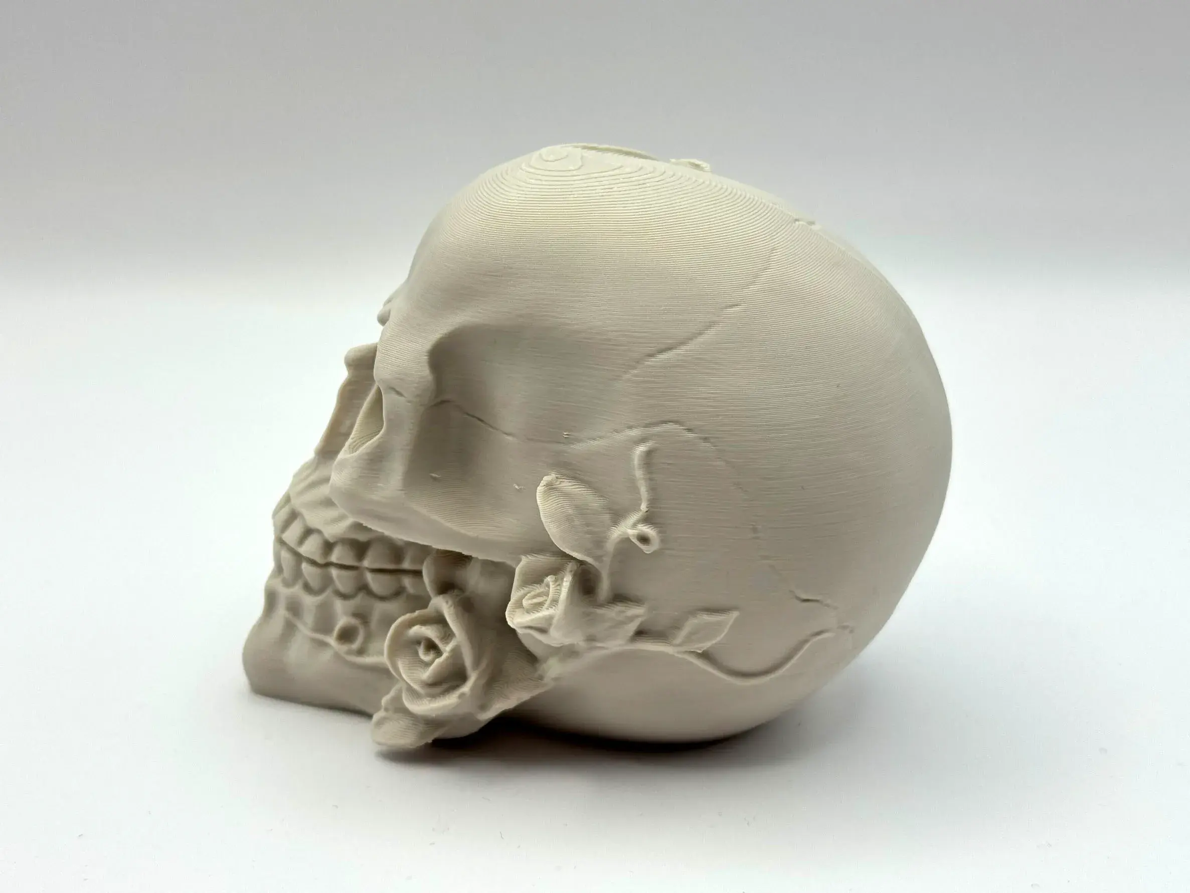 Death Blooms – Ornamental Skull with Roses