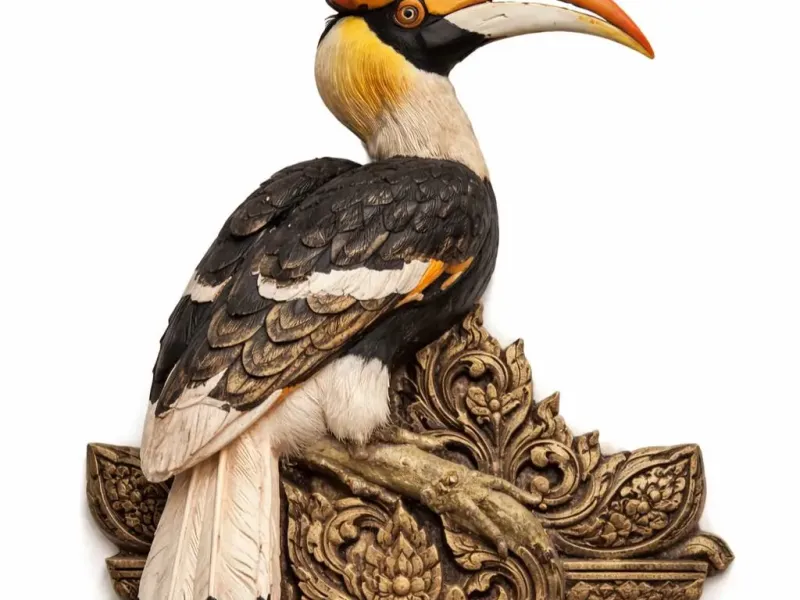 Great Horbill Design