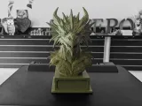 Poison Dragon Bust-1