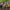 Corkies: Adventure Pack