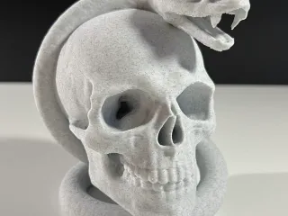 Skull with Snake