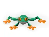 Reed Tree Frog-2