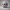 2982 Color 3D Model of a Halloween Skull - Totem Style  bat