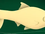 roach soft plastic lure mold-1