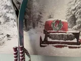 Ski Pole Clip - Updated with Titan Strap Option-4