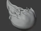 Birkenia Skull-4