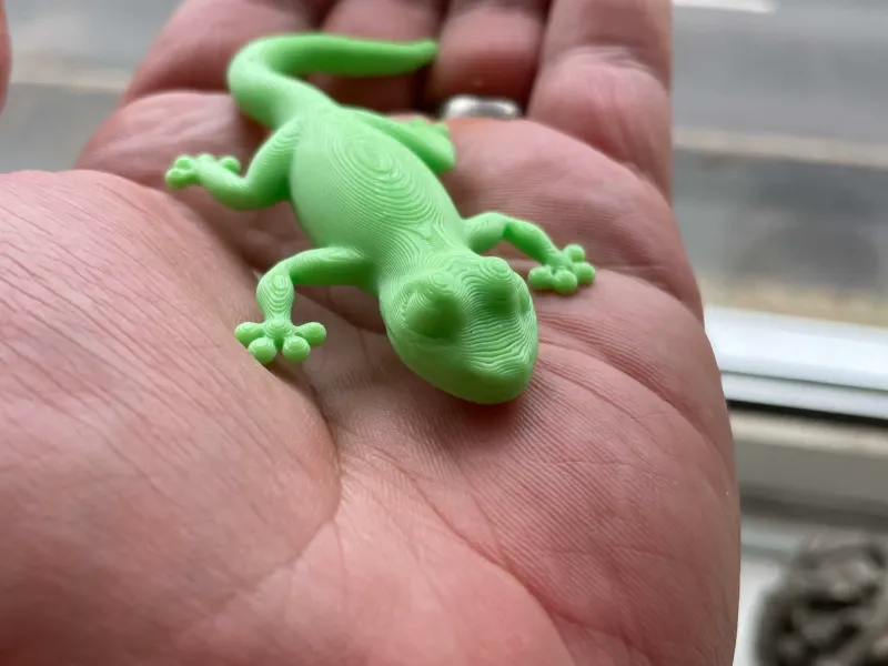 Íman de frigorífico Gecko