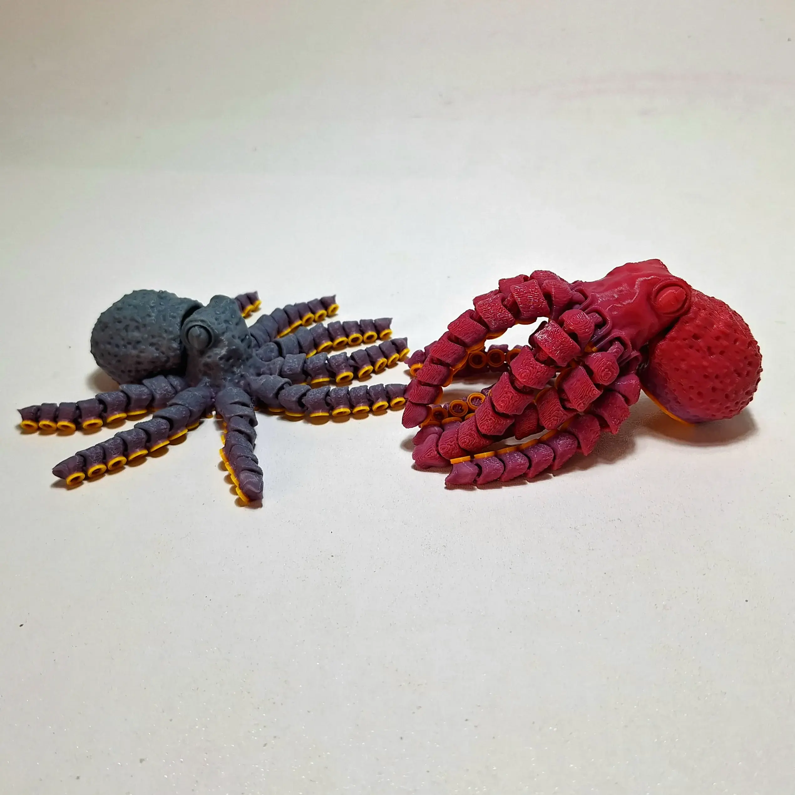 MINI OCTOPUS!