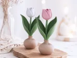 Tulip Bulb Decor | Spring Flower Display-3