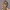 Ork im Warcraft-Stil mit skalierbarer Basis