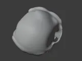 Bonobo Skull-3