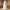Bishop Hooded Egyptian Chess Piece