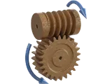 DİŞLİ GRUP-7