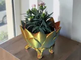 Triple-Color Lotus Planter Set - 2-in-1 Design with Drainage-6