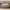 SKODA Enyaq RS iV