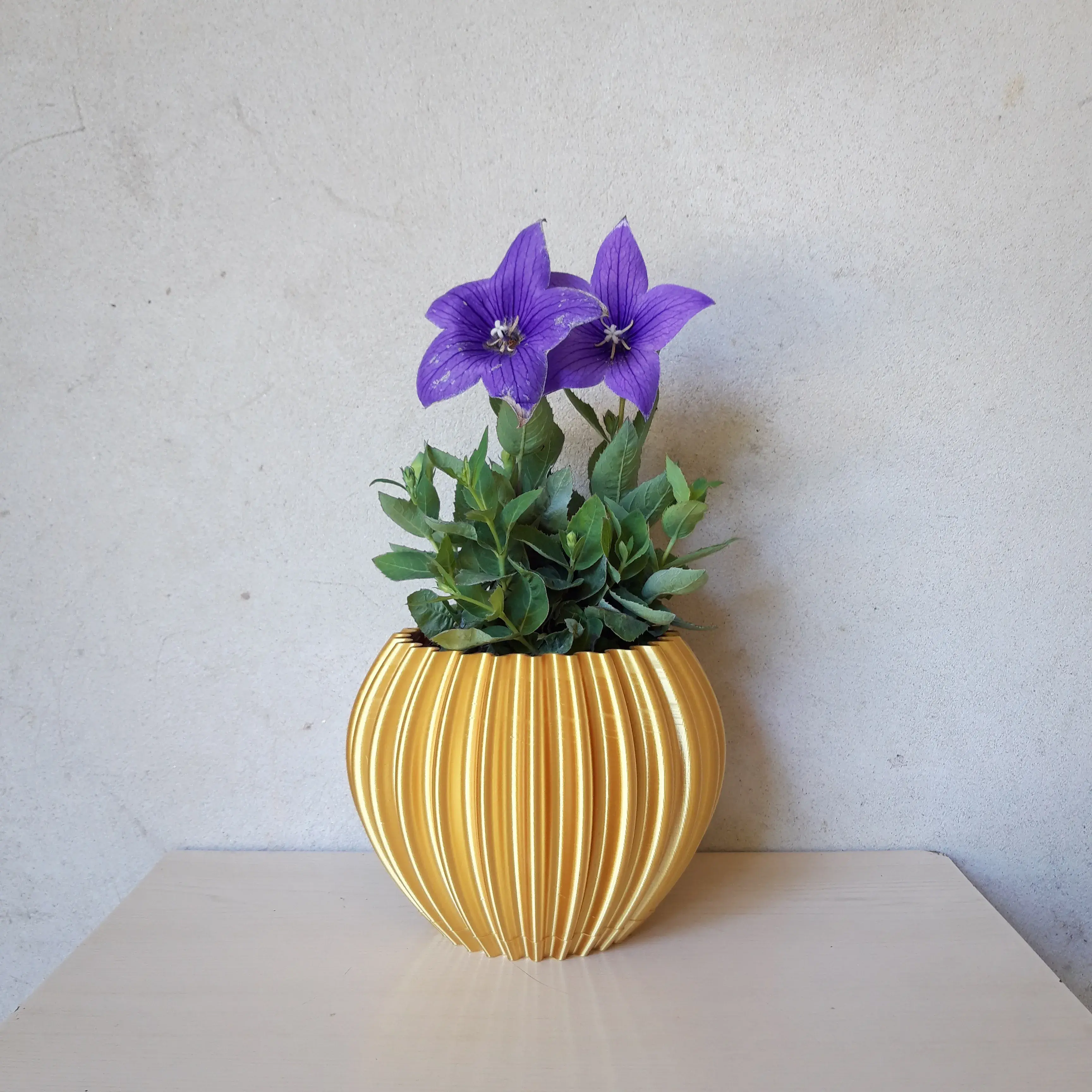 Flower pot