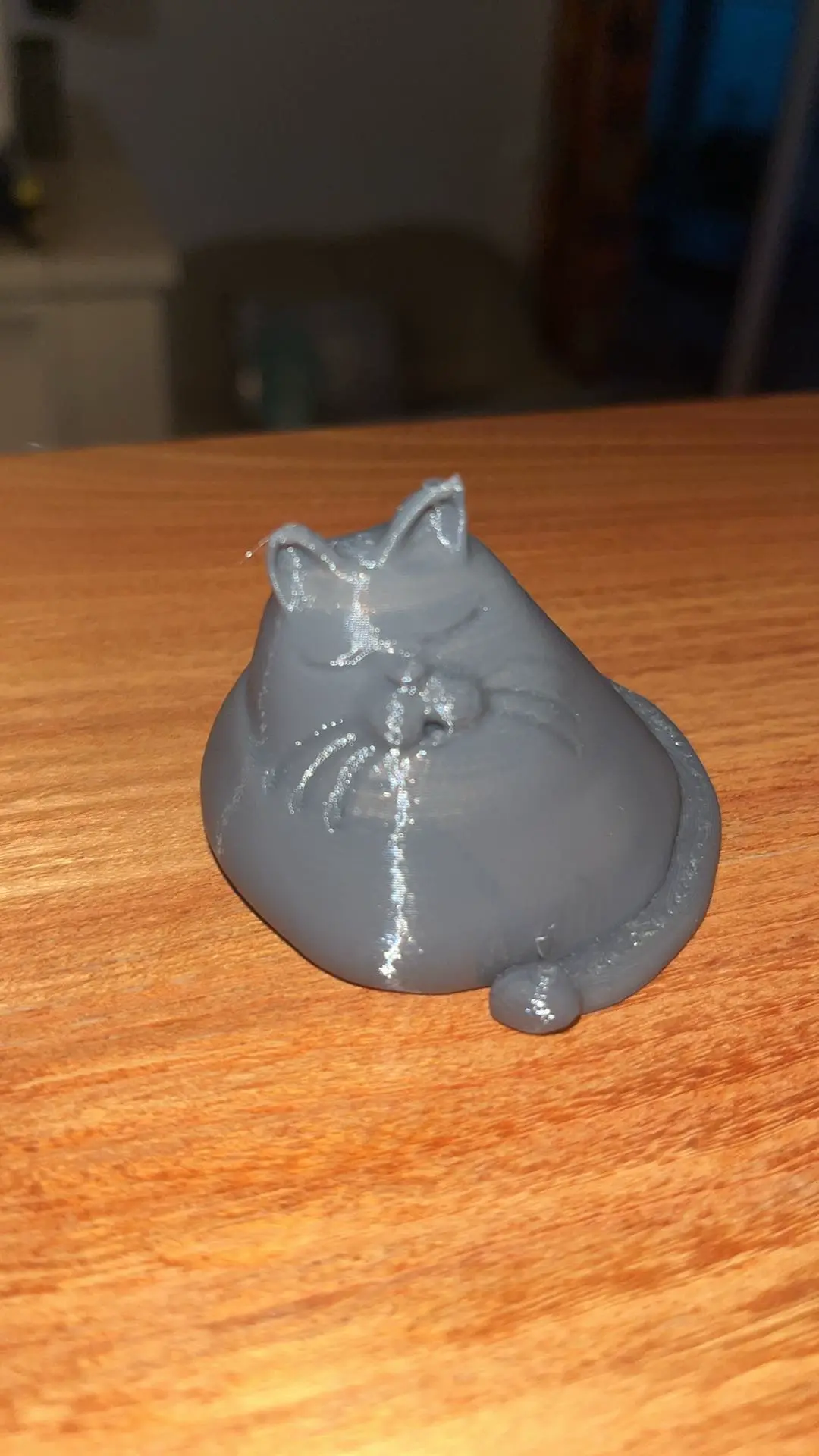 Gatto paffuto addormentato