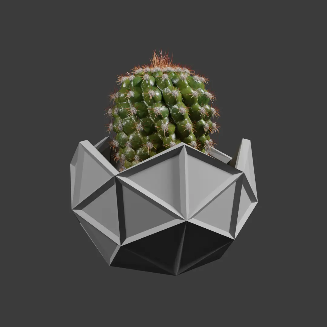 Geodesic cactus pot planter