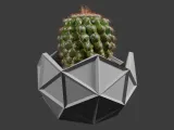 Geodesic cactus pot planter-5