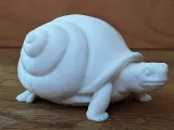 snurtle-0