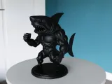 Muscular Shark-7